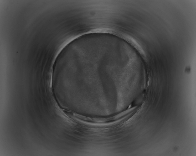 X0000101171276200807181414