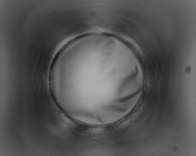 X0000101171278200807181414