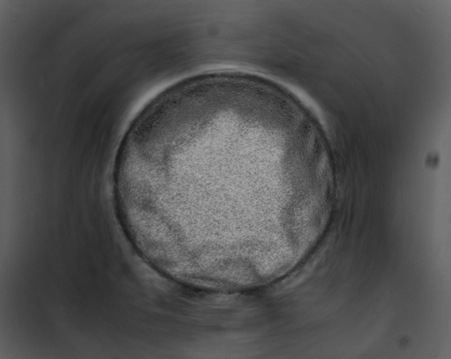 X0000101171279200807181414