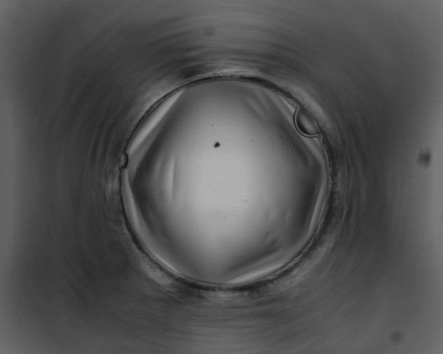 X0000101171281200807181414