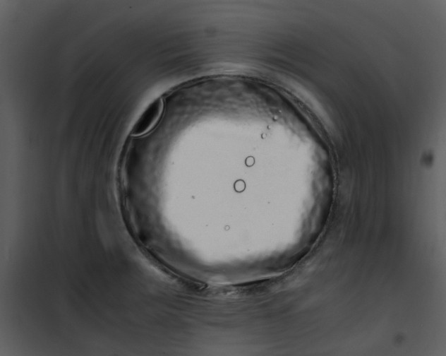 X0000101171283200807181414