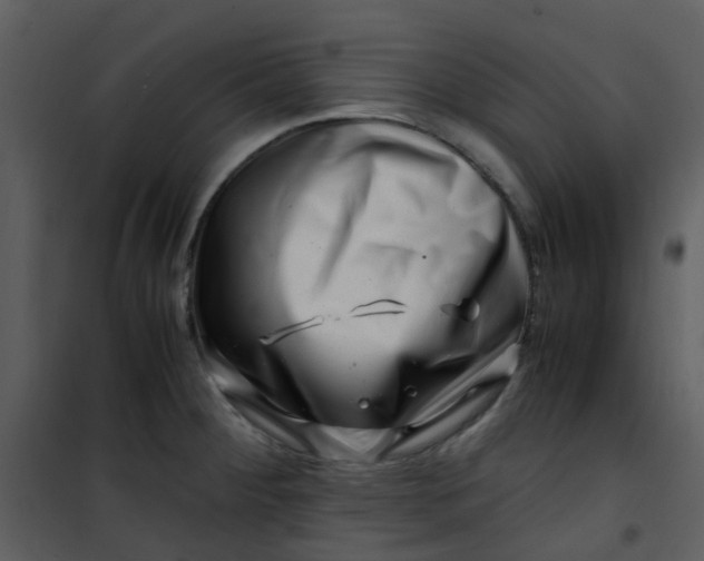 X0000101171284200807181414