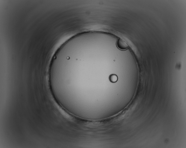 X0000101171285200807181414