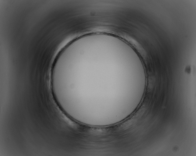 X0000101171286200807181414