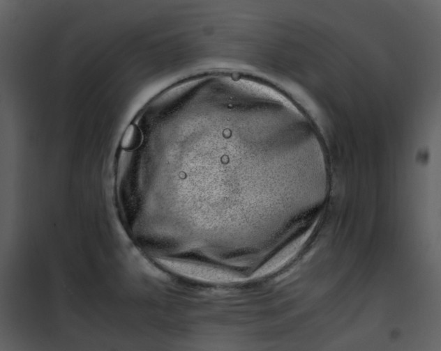 X0000101171287200807181414