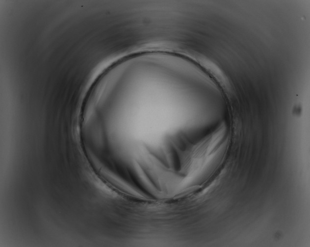 X0000101171288200807181414