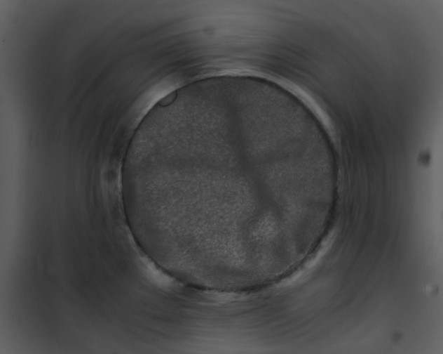 X0000101171289200807181414