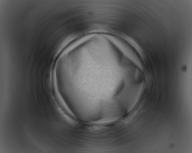 X0000101171290200807181414
