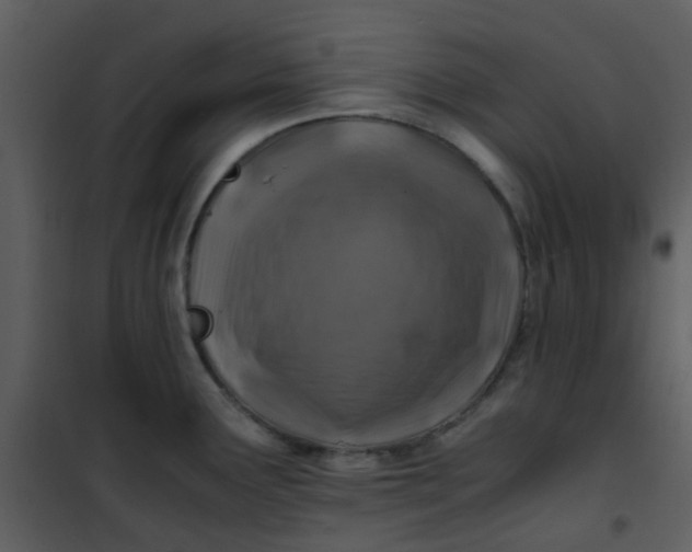 X0000101171291200807181414