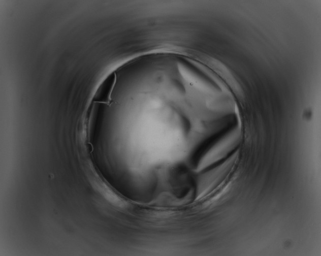 X0000101171292200807181414