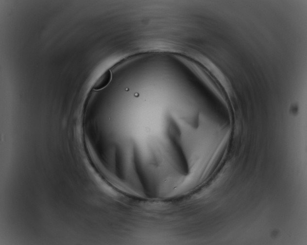 X0000101171293200807181414