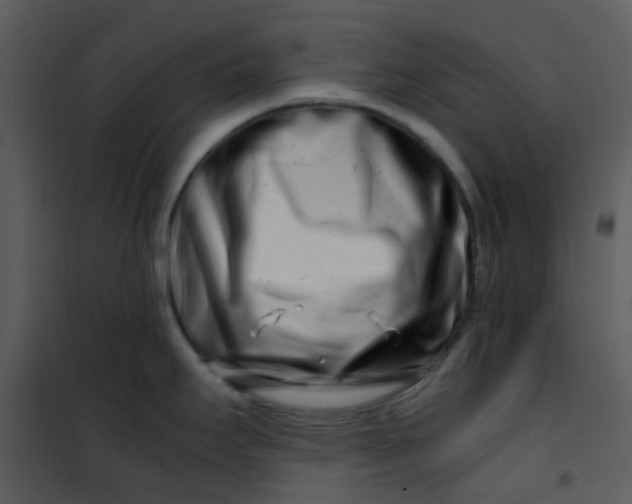 X0000101171295200807181414