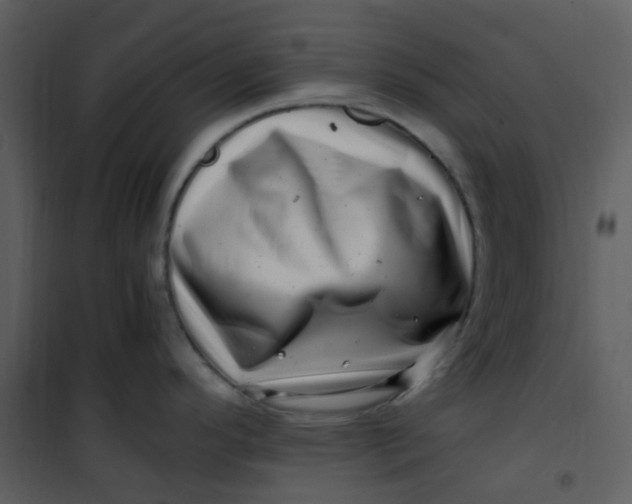 X0000101171296200807181414