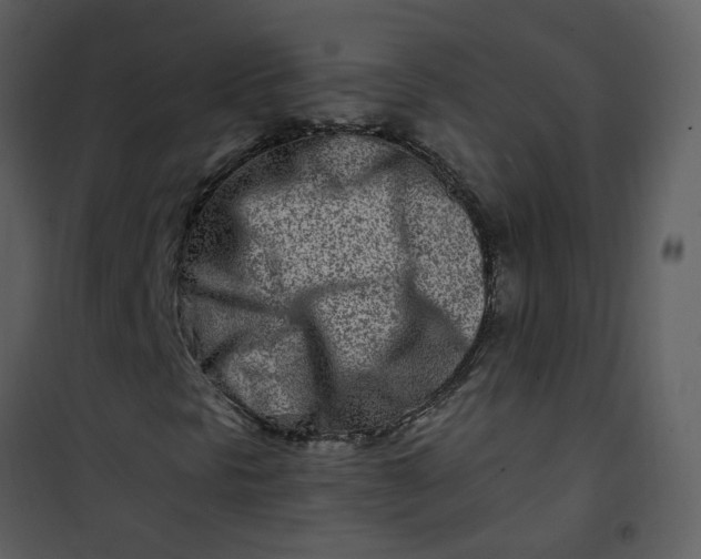 X0000101171297200807181413