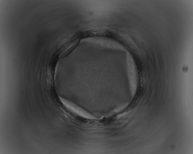 X0000101171298200807181413