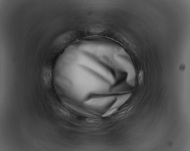 X0000101171299200807181413