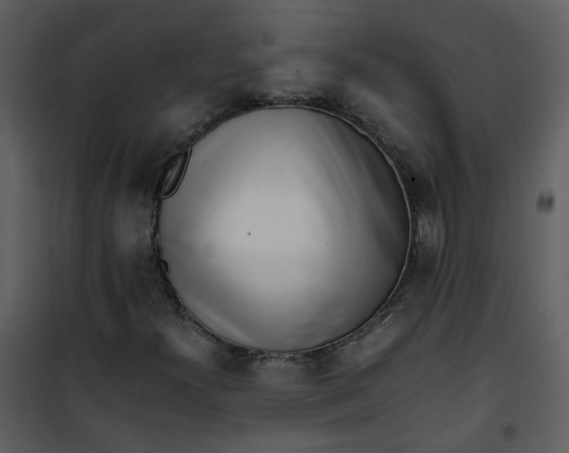 X0000101171300200807181413