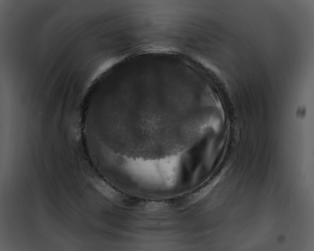 X0000101171306200807181413