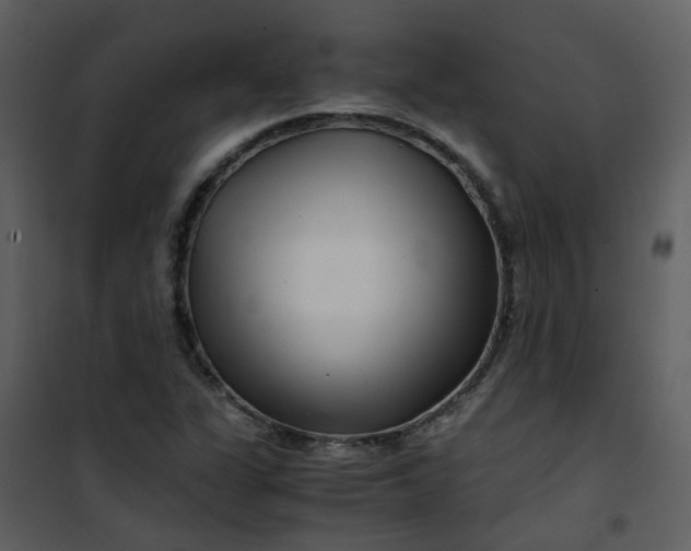 X0000101171311200807181413