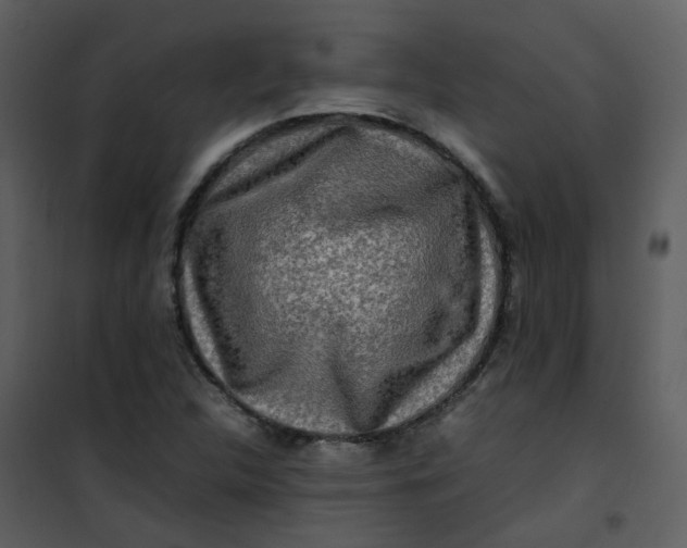 X0000101171312200807181413