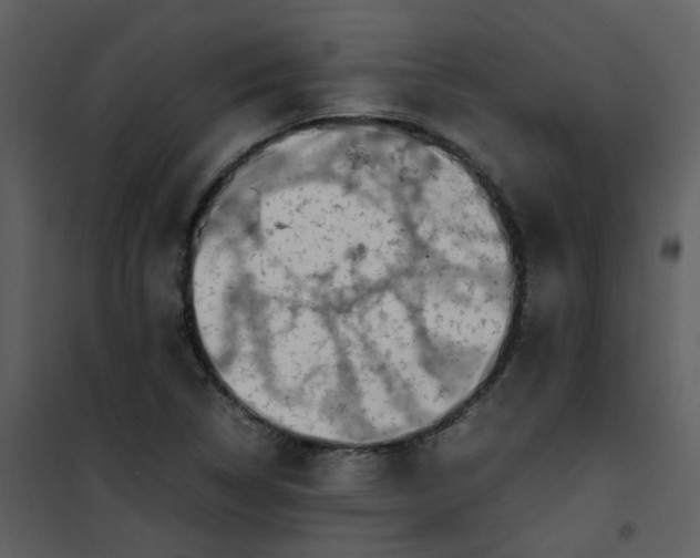 X0000101171314200807181413