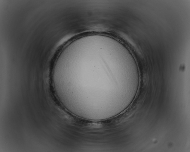 X0000101171315200807181413