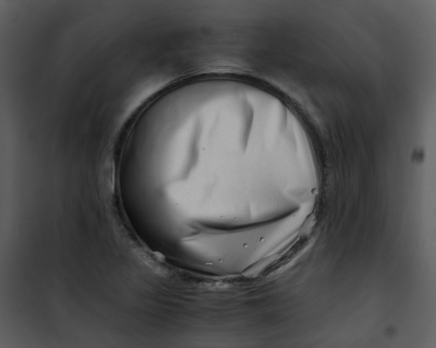 X0000101171317200807181413