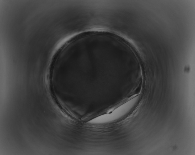 X0000101171319200807181413