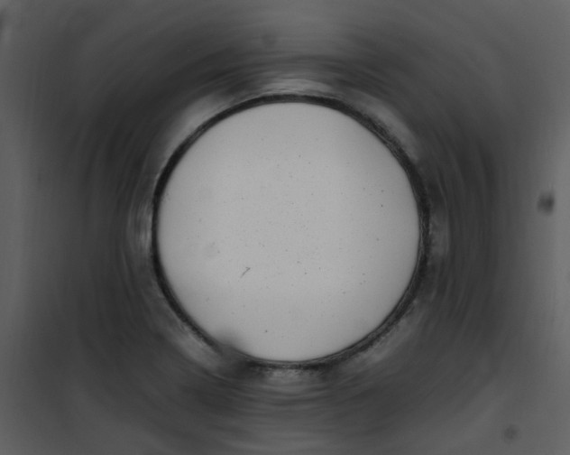 X0000101171322200807181414