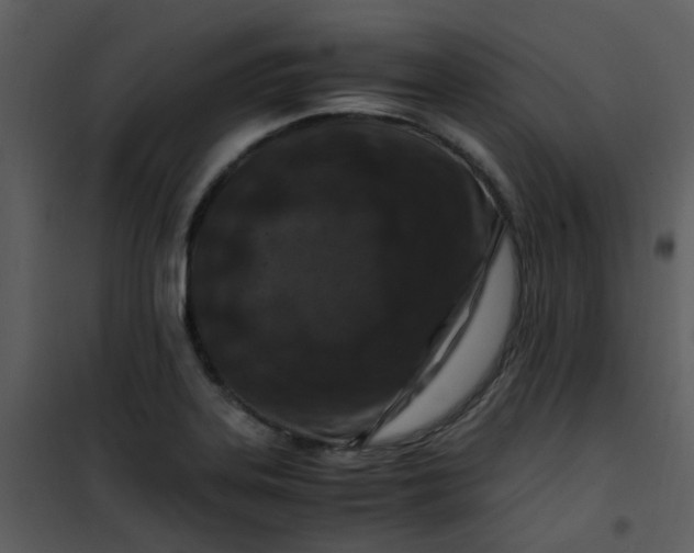 X0000101171323200807181414