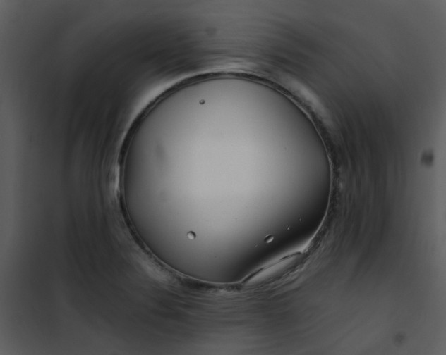 X0000101171324200807181414