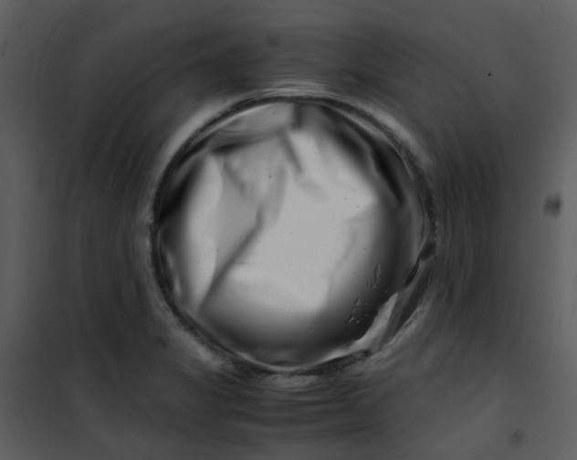 X0000101171325200807181414