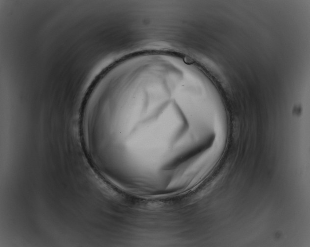 X0000101171326200807181414