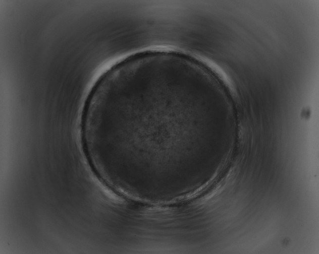 X0000101171327200807181414