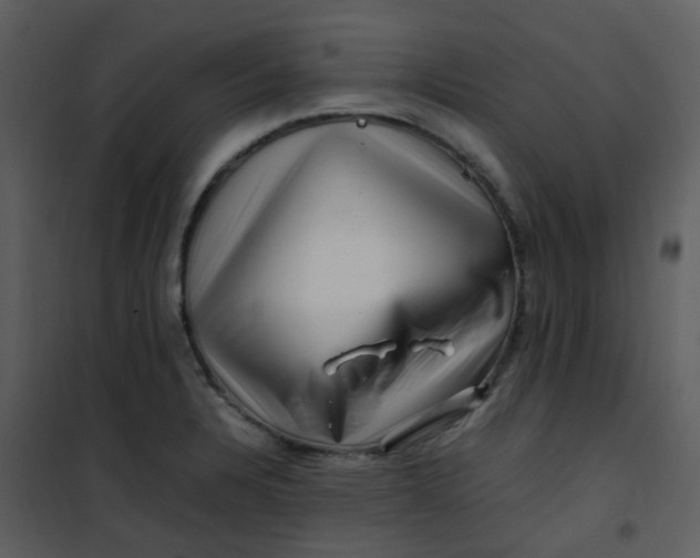 X0000101171328200807181414