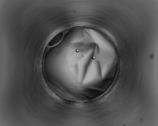 X0000101171330200807181414