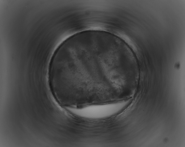 X0000101171331200807181414