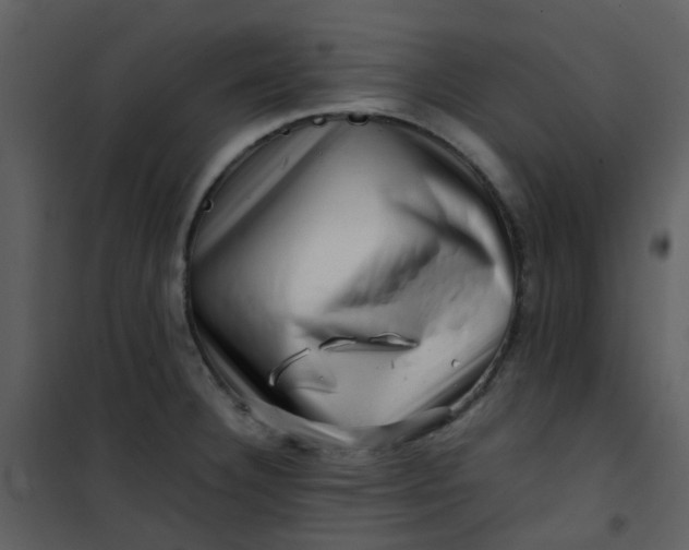 X0000101171332200807181414