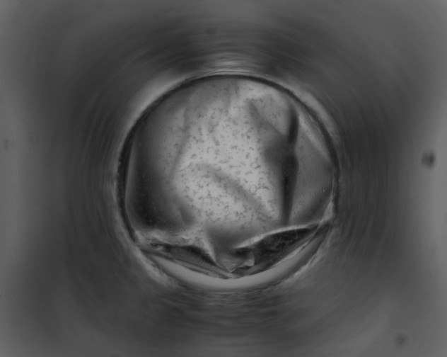 X0000101171333200807181414