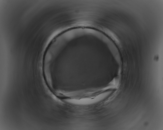 X0000101171334200807181414
