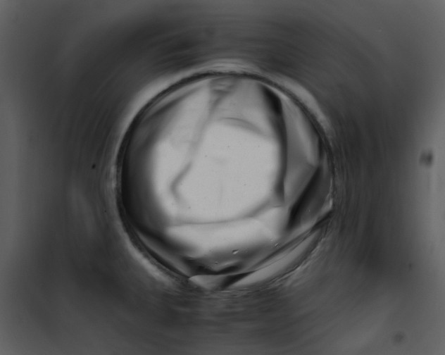 X0000101171335200807181414
