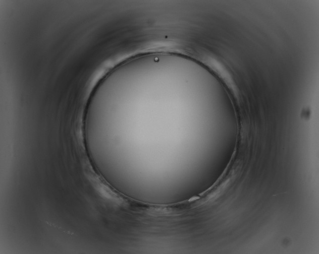 X0000101171336200807181414