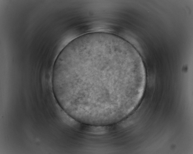 X0000101171338200807181414