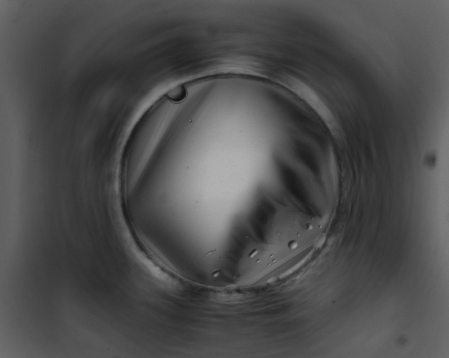 X0000101171339200807181414