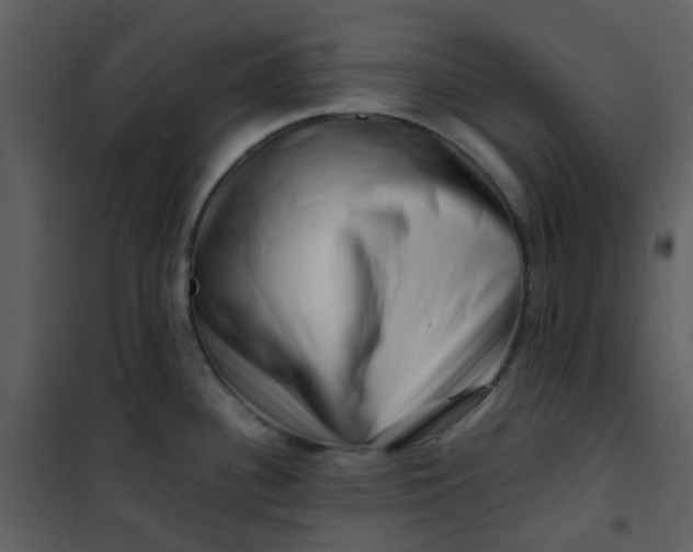 X0000101171340200807181414