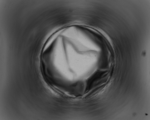 X0000101171341200807181414