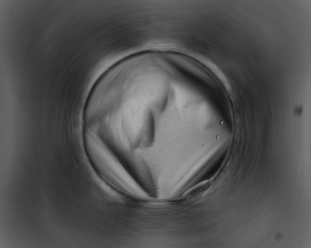 X0000101171343200807181414