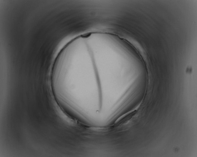 X0000101171344200807181414
