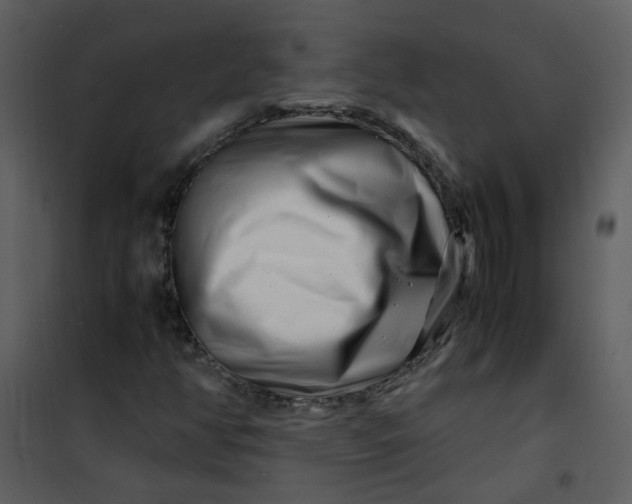 X0000101171350200807181413