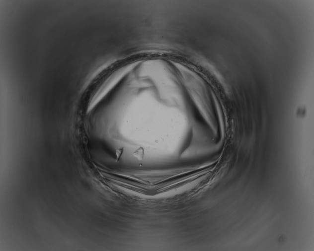 X0000101171352200807181413